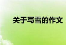 關于寫雪的作文(有關雪的作文范文)