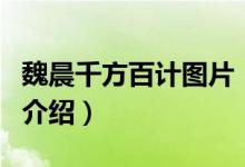 魏晨千方百計圖片（關(guān)于魏晨千方百計圖片的介紹）