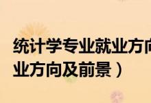 統(tǒng)計(jì)學(xué)專(zhuān)業(yè)就業(yè)方向就業(yè)前景（統(tǒng)計(jì)學(xué)專(zhuān)業(yè)就業(yè)方向及前景）