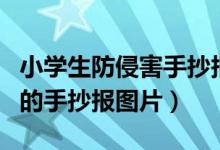 小學(xué)生防侵害手抄報(bào)圖片大全（我是小學(xué)生了的手抄報(bào)圖片）