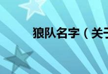 狼隊名字（關(guān)于狼隊名字的介紹）
