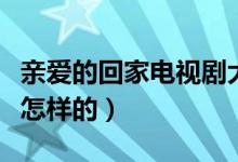 親愛(ài)的回家電視劇大結(jié)局（親愛(ài)的回家結(jié)局是怎樣的）