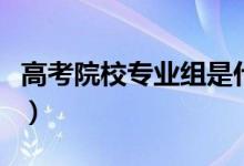 高考院校專業(yè)組是什么意思(有哪些填報(bào)技巧)