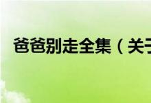 爸爸別走全集（關(guān)于爸爸別走全集的介紹）