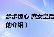 步步驚心 庶女皇后（關(guān)于步步驚心 庶女皇后的介紹）