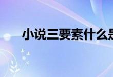 小說(shuō)三要素什么是核心（小說(shuō)三要素）
