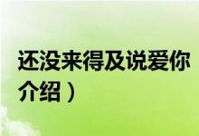 還沒來得及說愛你（關于還沒來得及說愛你的介紹）