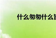 什么匆匆什么皆過(guò)客（什么匆匆）