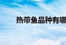 熱帶魚品種有哪些（兩點(diǎn)為你介紹）