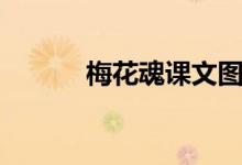 梅花魂課文圖片(梅花魂課文)