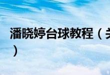 潘曉婷臺球教程（關(guān)于潘曉婷臺球教程的介紹）