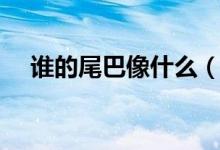 誰(shuí)的尾巴像什么（誰(shuí)的尾巴像什么仿寫）