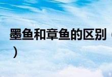 墨魚(yú)和章魚(yú)的區(qū)別（墨魚(yú)和章魚(yú)的區(qū)別有哪些）