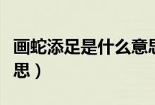 畫蛇添足是什么意思簡單（畫蛇添足是什么意思）