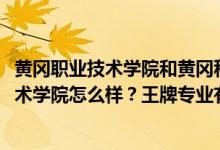 黃岡職業(yè)技術(shù)學(xué)院和黃岡科技職業(yè)學(xué)院（2022年黃岡職業(yè)技術(shù)學(xué)院怎么樣？王牌專業(yè)有哪些？）