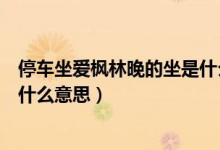 停車坐愛(ài)楓林晚的坐是什么意思??(停車坐愛(ài)楓林晚的坐是什么意思)