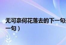 無可奈何花落去的下一句是什么意思（無可奈何花落去的下一句）