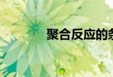 聚合反應的條件（聚合反應）