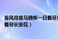 春風(fēng)得意馬蹄疾一日看盡長安花全詩（春風(fēng)得意馬蹄疾 一日看盡長安花）