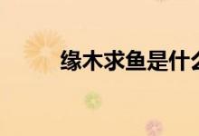 緣木求魚(yú)是什么生肖（緣木求魚(yú)）