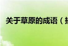 關(guān)于草原的成語（描寫草原的成語有哪些）