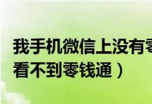 我手機(jī)微信上沒有零錢通怎么解決（我的微信看不到零錢通）
