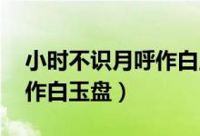 小時(shí)不識(shí)月呼作白玉盤(pán)古詩(shī)（小時(shí)不識(shí)月 呼作白玉盤(pán)）