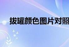 拔罐顏色圖片對照表(拔罐顏色分析圖)