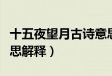 十五夜望月古詩(shī)意思解釋（十五夜望月古詩(shī)意思解釋）
