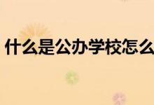 什么是公辦學校怎么辨別（什么是公辦學校）