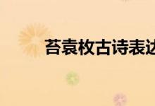 苔袁枚古詩表達(dá)的哲理（苔 袁枚）
