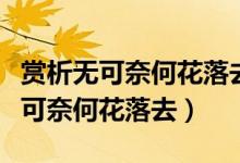 賞析無可奈何花落去似曾相識燕歸來（賞析無可奈何花落去）