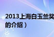 2013上海白玉蘭獎（關(guān)于2013上海白玉蘭獎的介紹）