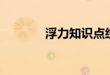 浮力知識點經典歸納（浮力）