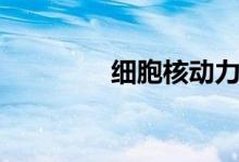 細胞核動力功效（細胞核）
