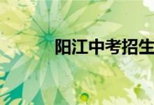 陽江中考招生計(jì)劃(陽江中考)