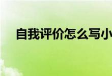 自我評價怎么寫小學（自我評價怎么寫）