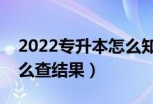 2022專升本怎么知道自己有沒有被錄?。ㄔ趺床榻Y(jié)果）