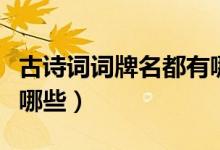 古詩詞詞牌名都有哪些（古詩詞里的詞牌名有哪些）