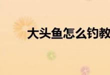 大頭魚(yú)怎么釣教程（大頭魚(yú)怎么釣）