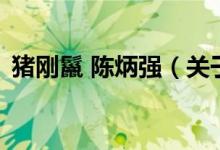 豬剛鬣 陳炳強(qiáng)（關(guān)于豬剛鬣 陳炳強(qiáng)的介紹）