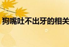 狗嘴吐不出牙的相關(guān)語(yǔ)句（狗嘴吐不出象牙）