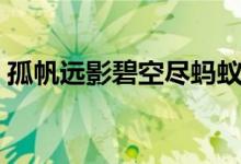 孤帆遠(yuǎn)影碧空盡螞蟻莊園（孤帆遠(yuǎn)影碧空盡）