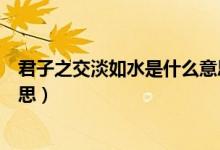 君子之交淡如水是什么意思簡短（君子之交淡如水是什么意思）