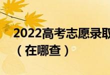 2022高考志愿錄取后怎么查自己的錄取狀態(tài)（在哪查）