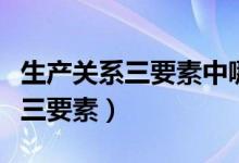 生產(chǎn)關(guān)系三要素中哪個占主要地位（生產(chǎn)關(guān)系三要素）