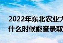 2022年東北農(nóng)業(yè)大學錄取時間及查詢?nèi)肟冢ㄊ裁磿r候能查錄?。?class=