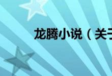 龍騰小說（關于龍騰小說的介紹）