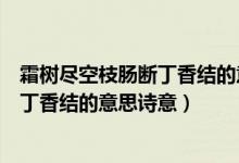 霜樹盡空枝腸斷丁香結(jié)的意思詩意少一點（霜樹盡空枝腸斷丁香結(jié)的意思詩意）