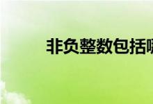 非負整數(shù)包括哪些數(shù)(非負整數(shù))
